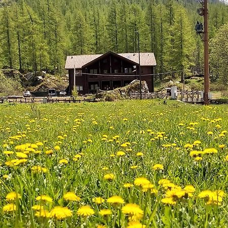 Chalet Rosa Dei Monti Piamprato Bagian luar foto