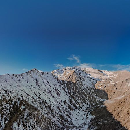 Chalet Rosa Dei Monti Piamprato Bagian luar foto