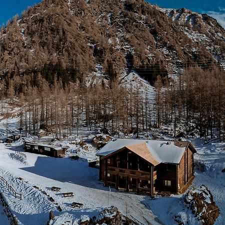 Chalet Rosa Dei Monti Piamprato Bagian luar foto