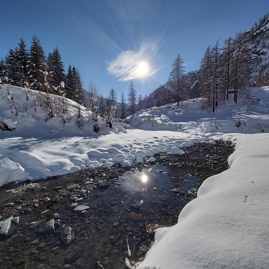 Chalet Rosa Dei Monti Piamprato Bagian luar foto