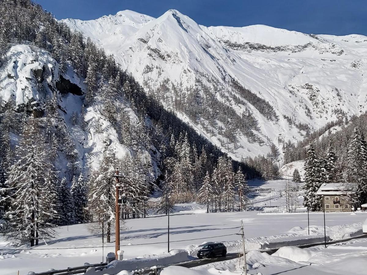 Chalet Rosa Dei Monti Piamprato Bagian luar foto