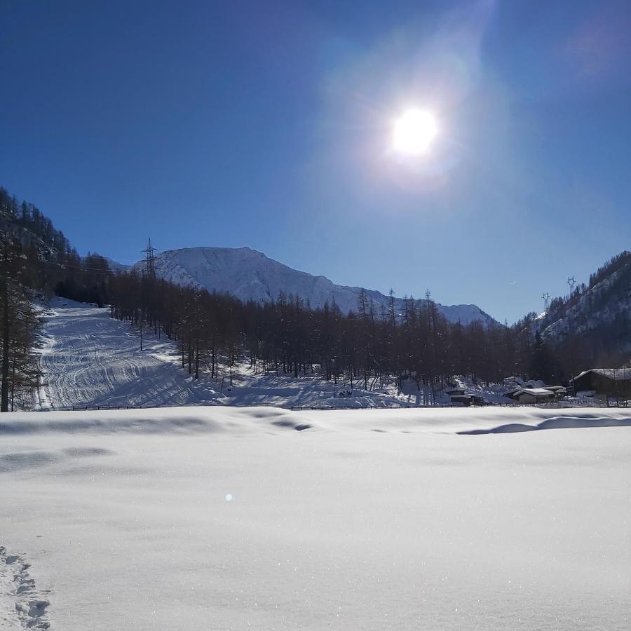 Chalet Rosa Dei Monti Piamprato Bagian luar foto
