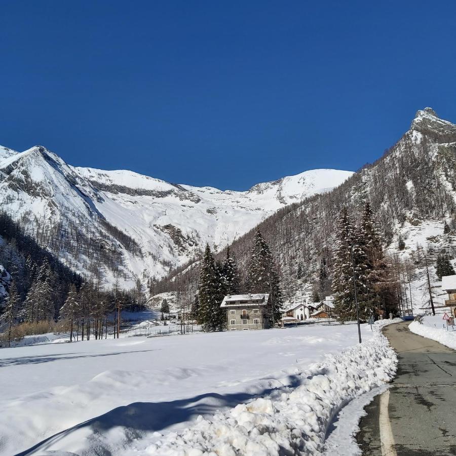 Chalet Rosa Dei Monti Piamprato Bagian luar foto