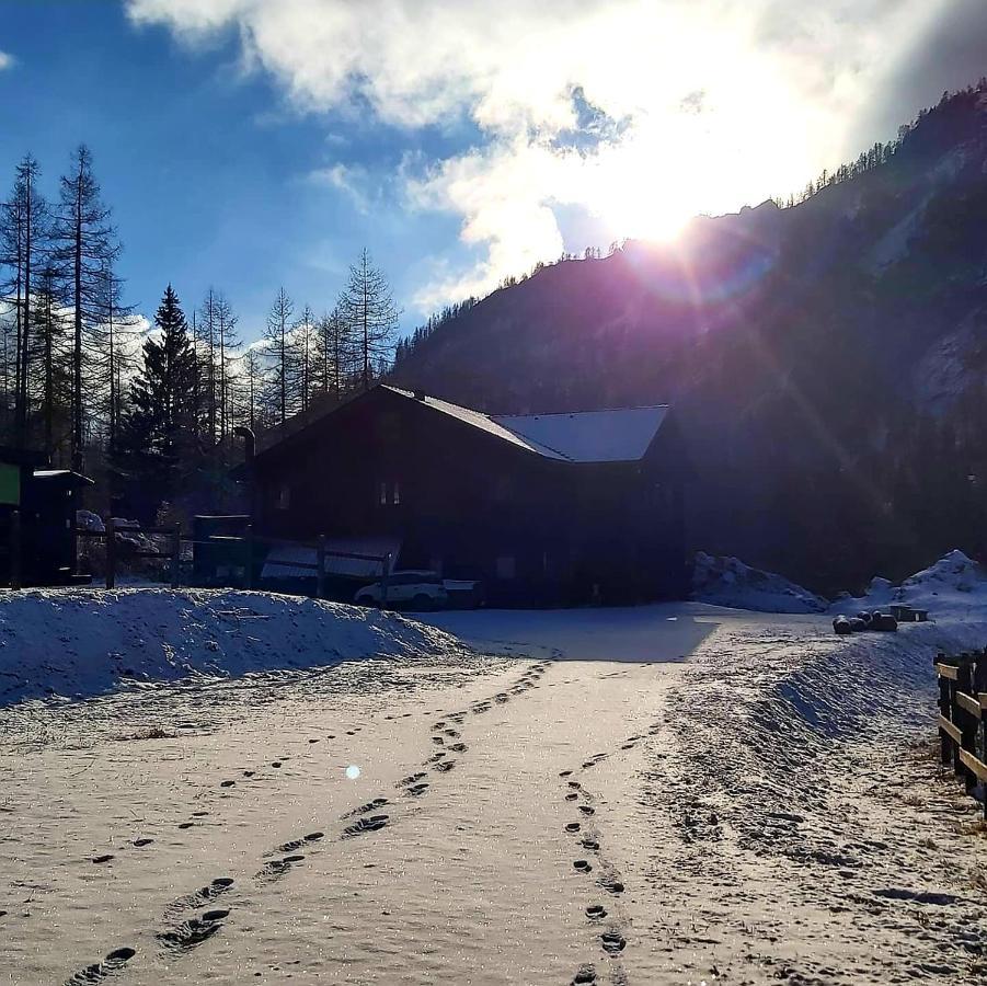 Chalet Rosa Dei Monti Piamprato Bagian luar foto