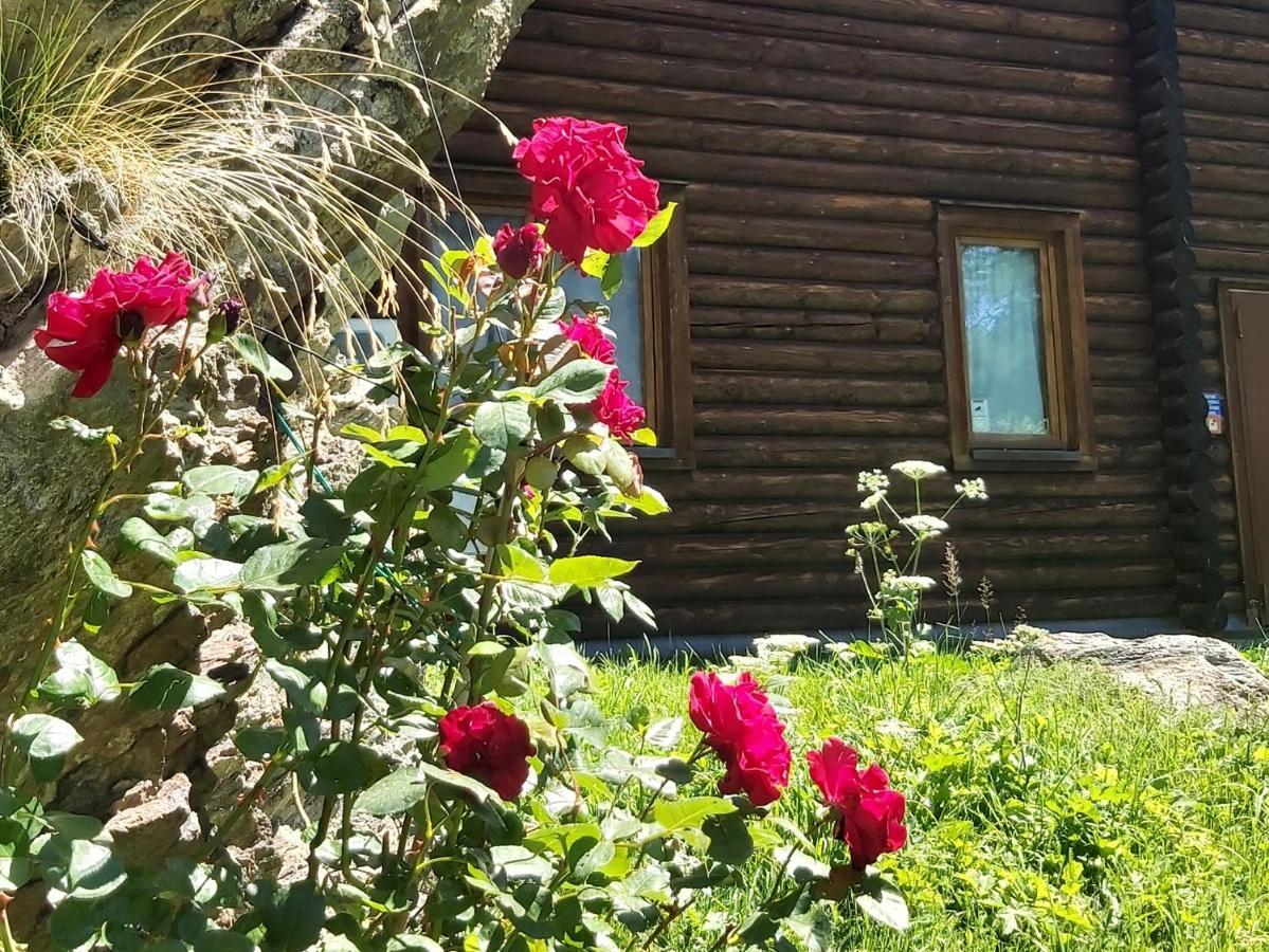 Chalet Rosa Dei Monti Piamprato Bagian luar foto