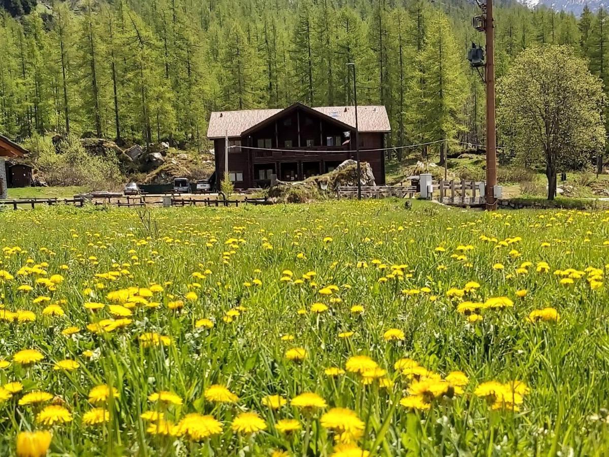 Chalet Rosa Dei Monti Piamprato Bagian luar foto