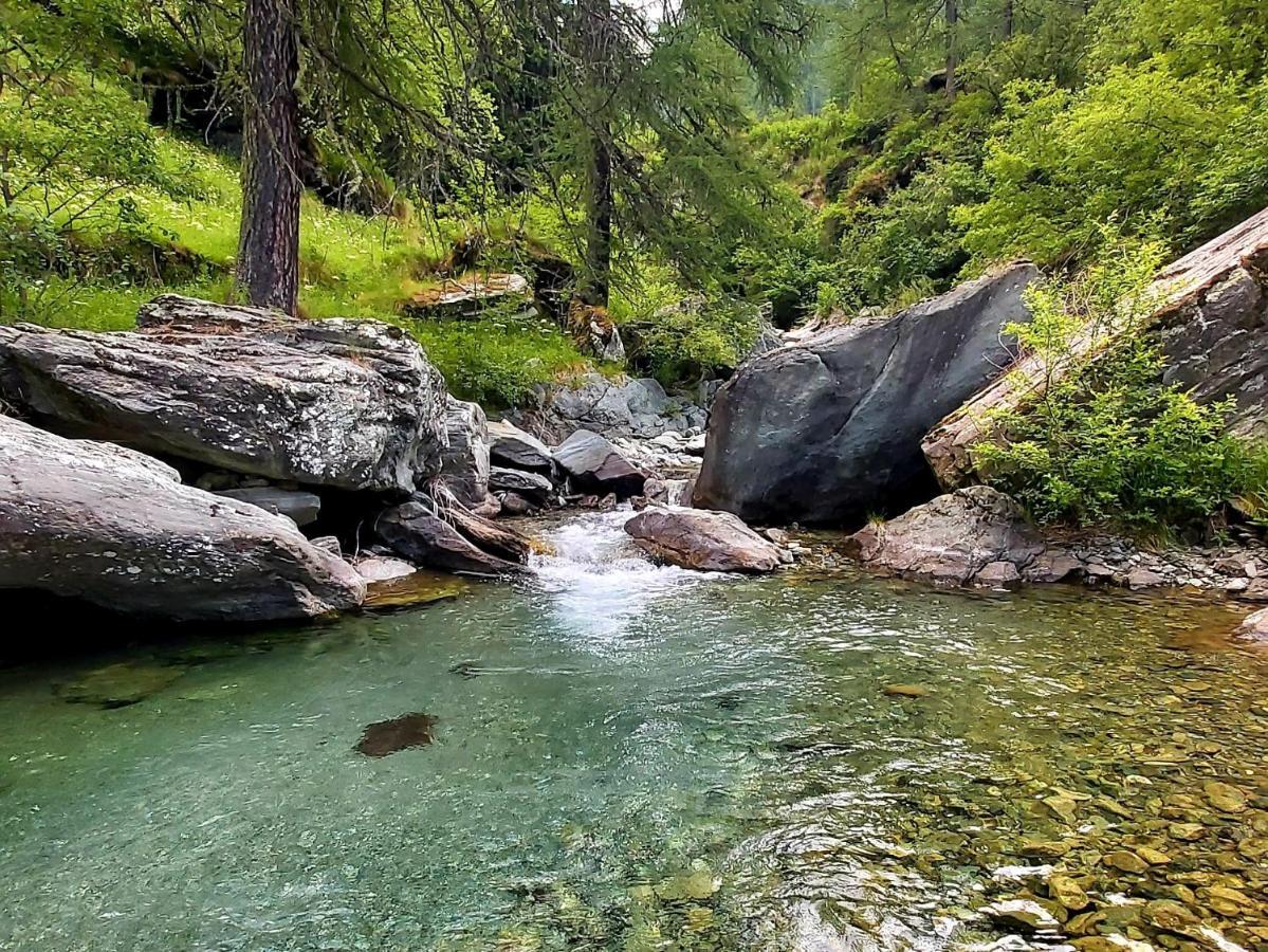 Chalet Rosa Dei Monti Piamprato Bagian luar foto