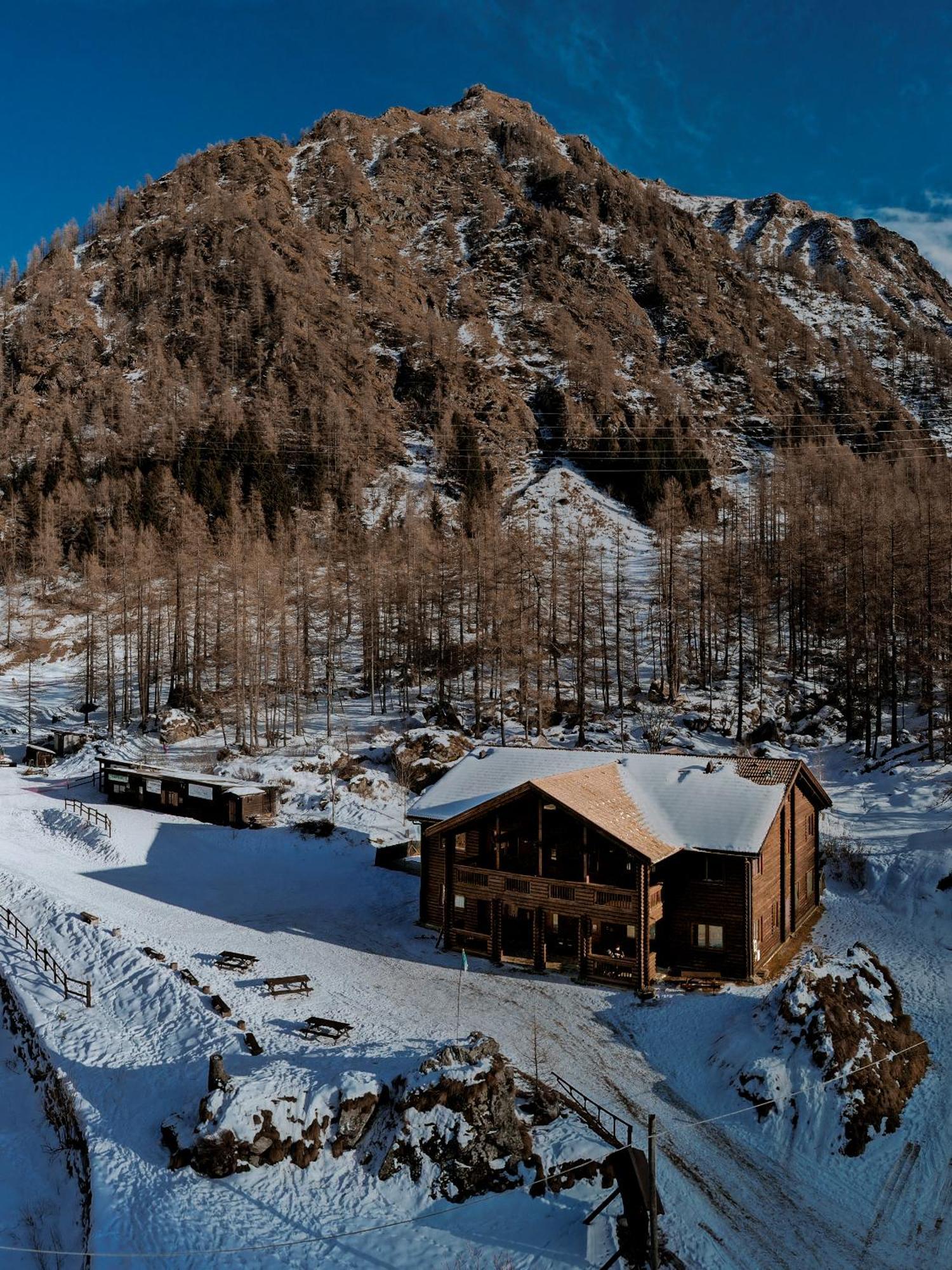 Chalet Rosa Dei Monti Piamprato Bagian luar foto