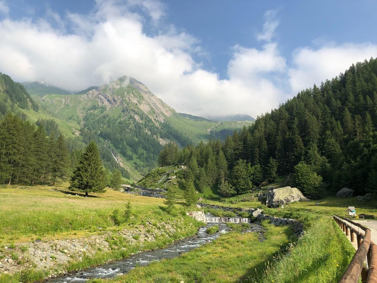 Chalet Rosa Dei Monti Piamprato Bagian luar foto
