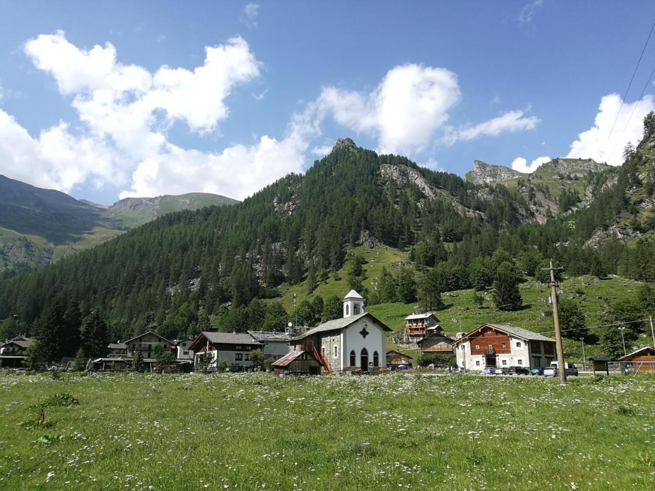 Chalet Rosa Dei Monti Piamprato Bagian luar foto