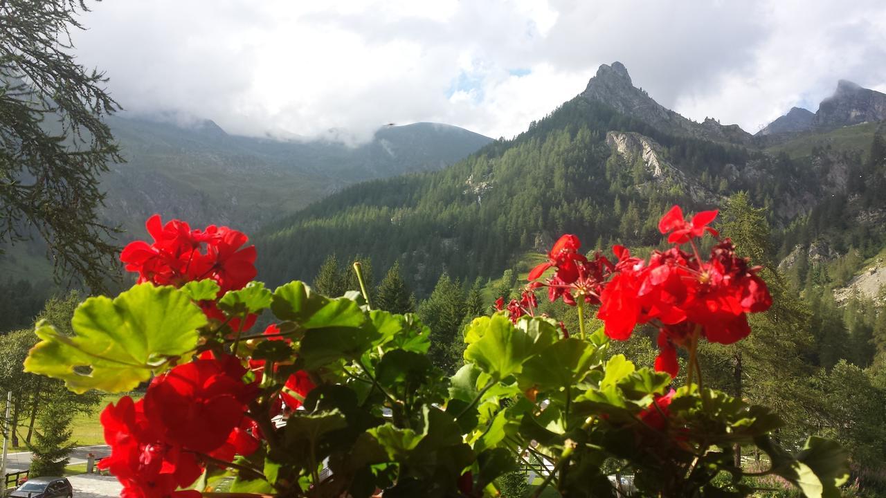 Chalet Rosa Dei Monti Piamprato Bagian luar foto