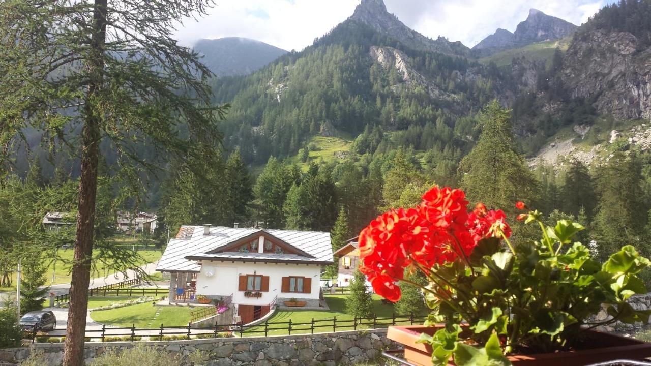 Chalet Rosa Dei Monti Piamprato Bagian luar foto