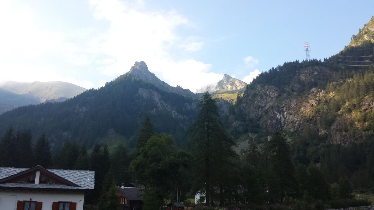 Chalet Rosa Dei Monti Piamprato Bagian luar foto