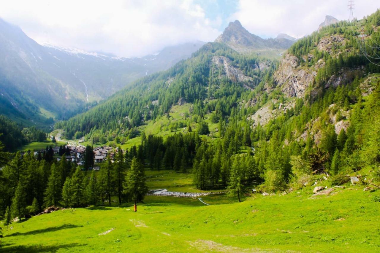 Chalet Rosa Dei Monti Piamprato Bagian luar foto