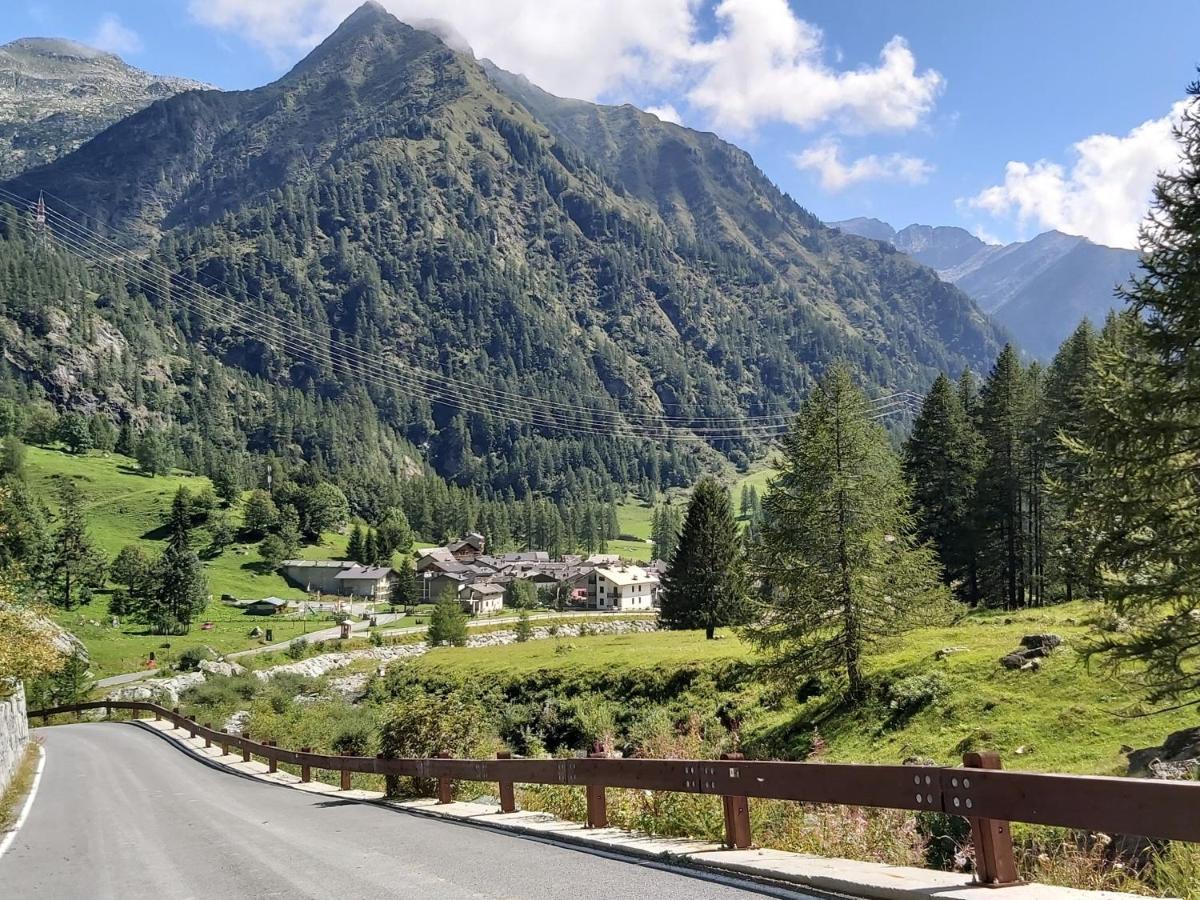 Chalet Rosa Dei Monti Piamprato Bagian luar foto